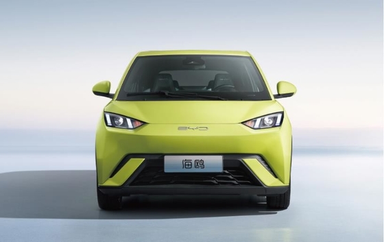 BYD Pure Electric 305KM Kompakt Aile Otomobili