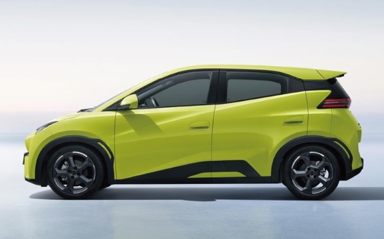 BYD Pure Electric 305KM Kompakt Aile Otomobili