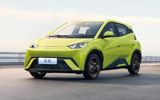 BYD Pure Electric 305KM Kompakt Aile Otomobili