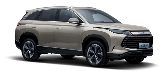 BYD hibrit 175KM dört tekerlekten çekişli orta boylu şehir SUV firkateyn 07
