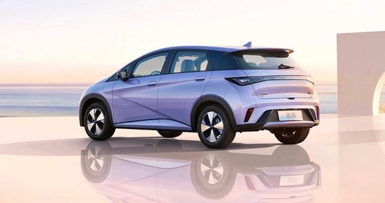 BYD Pure Electric Range 401KM Kompakt Popüler Ev Arabası Dolphin