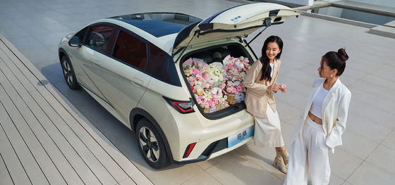 1.5L Motor Hacmi BYD Seal06 DM-i 120KM Öncü Versiyon