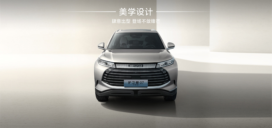BYD Fregat07 100km Elite Tipi