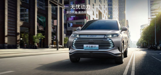 BYD Fregat07 100km Elite Tipi